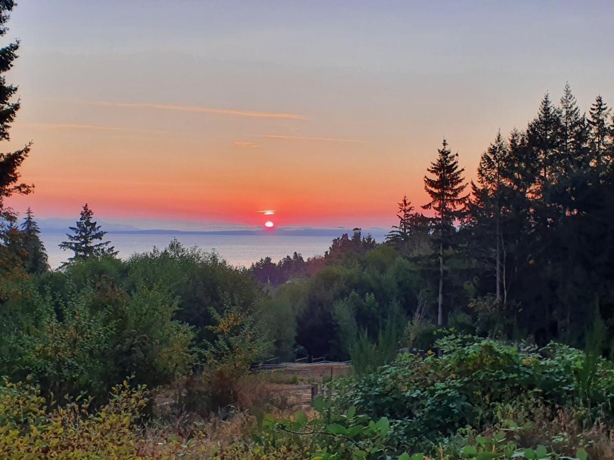 Forest By The Sea Rentals Merville Buitenkant foto