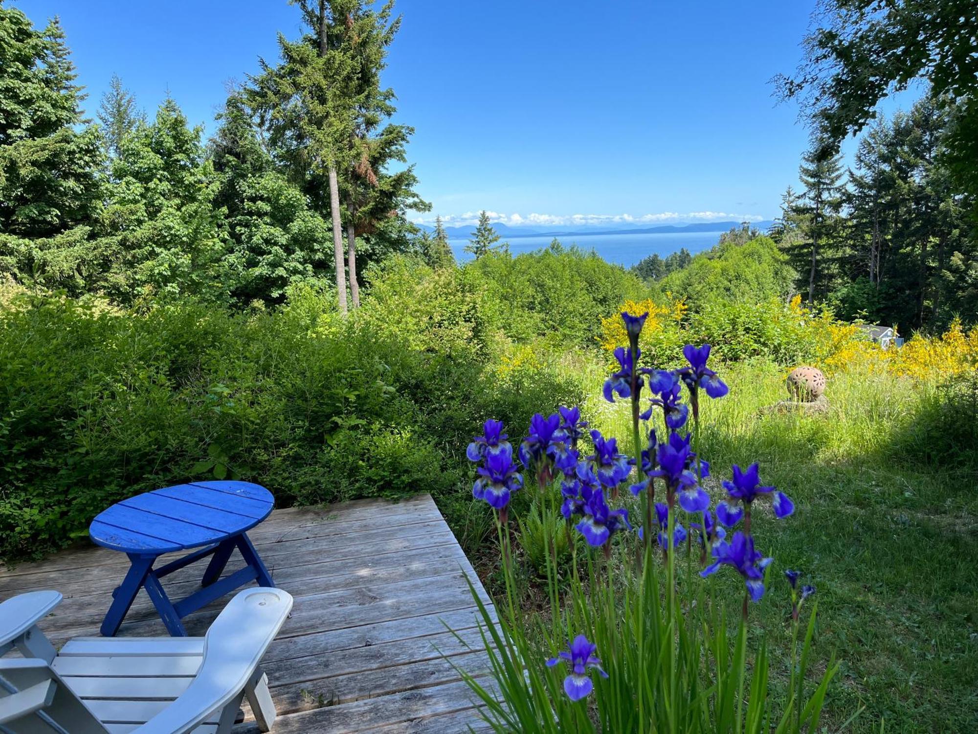 Forest By The Sea Rentals Merville Buitenkant foto