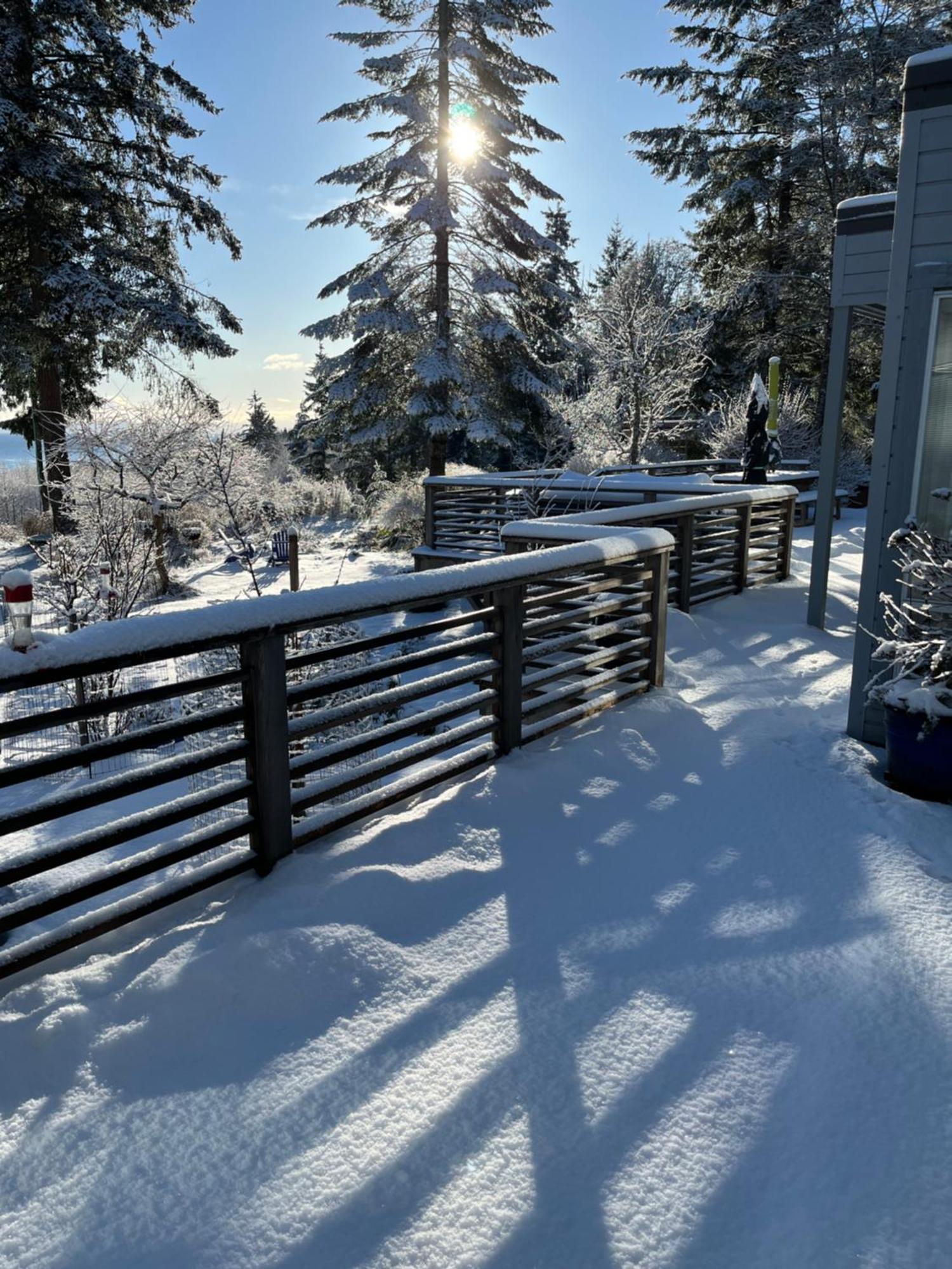 Forest By The Sea Rentals Merville Buitenkant foto